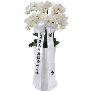 상품명 명품 조의.근조 흰호접란(흰색 사기분)  중품가격 130,000 회원1구매혜택 적립시 9,100 할인시 3,900