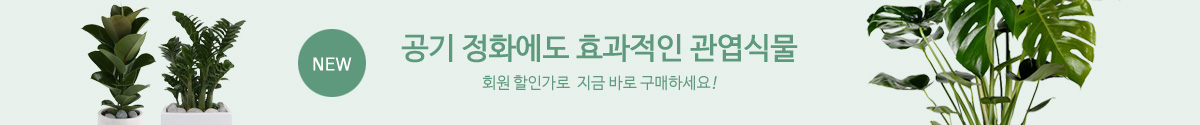 관엽