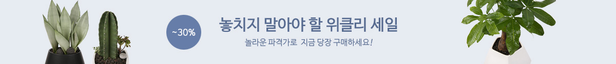 위클리세일